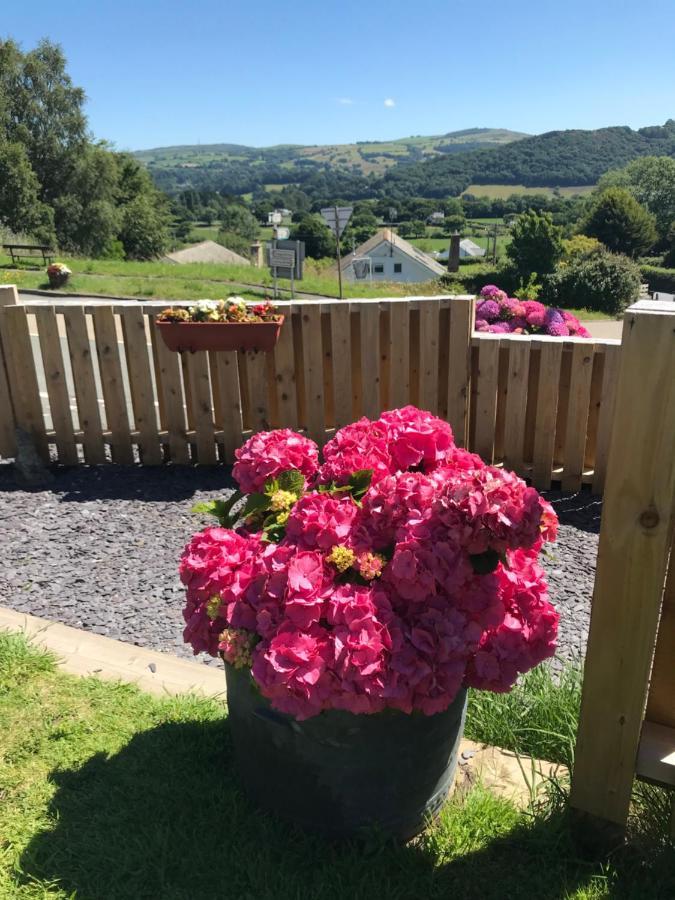 Y Llew Coch Bed & Breakfast Конуи Екстериор снимка
